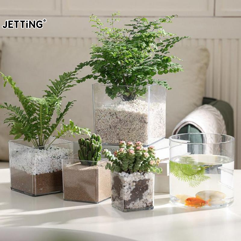 Square/Round Transparent Acryl - Bonsai Garden Nursery recensione e prezzo