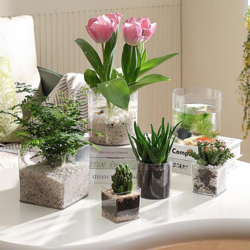 Square/Round Transparent Acryl - Bonsai Garden Nursery recensione e prezzo