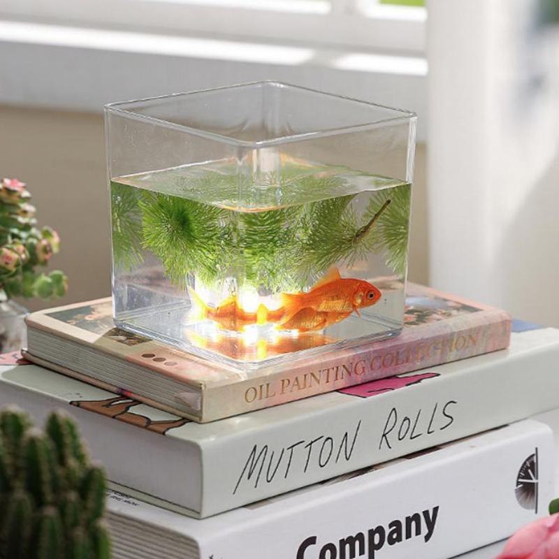 Square/Round Transparent Acryl - Bonsai Garden Nursery recensione e prezzo