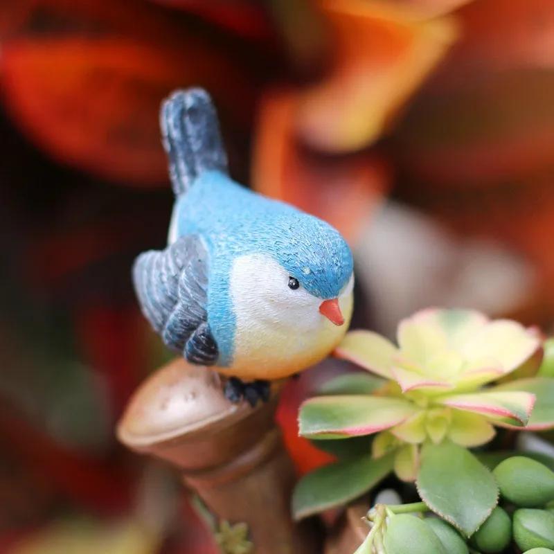 Cute Flower Pot Succulent Plan - Bonsai Garden Nursery recensione e prezzo