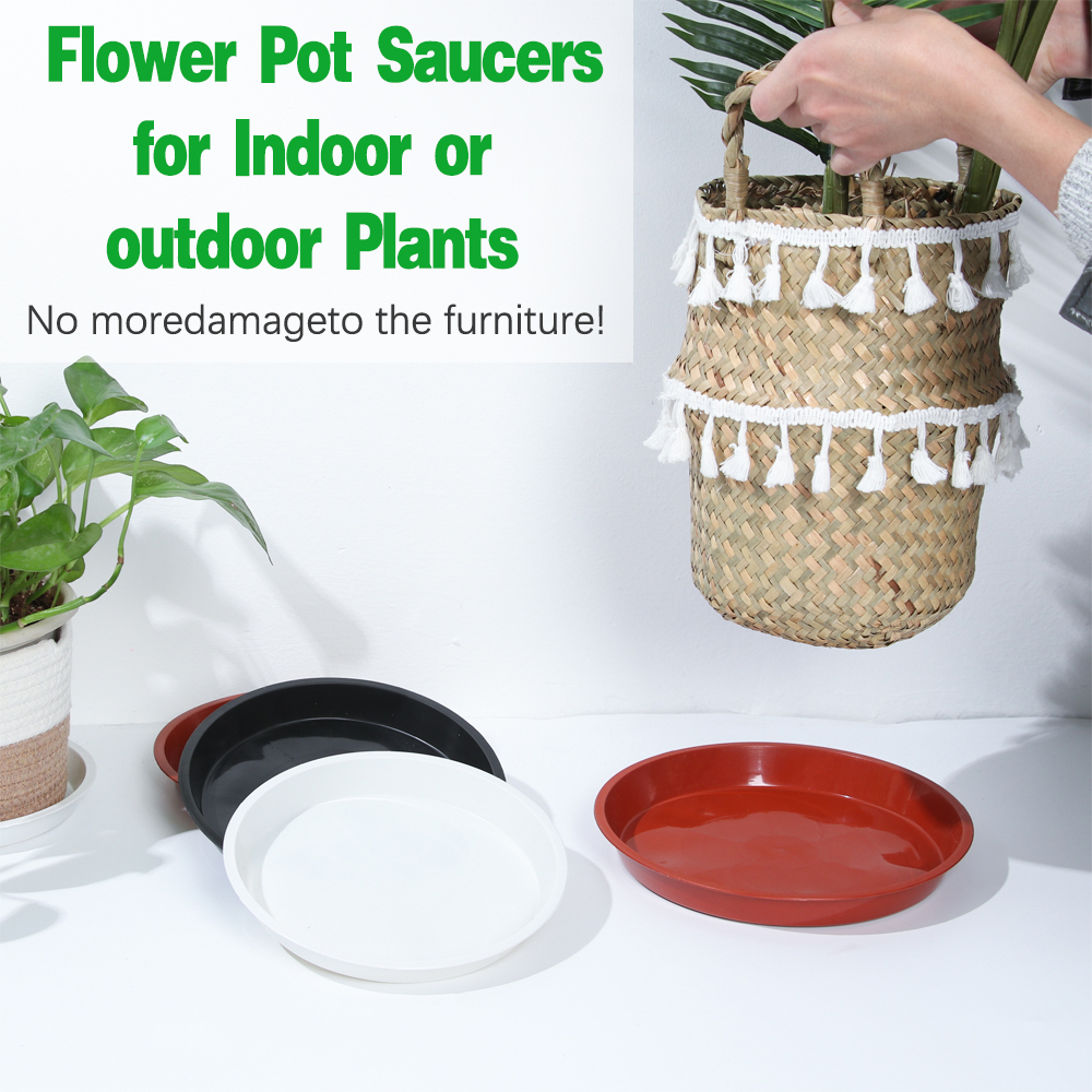 3Pcs Plant Saucer 4/6/7/8/10 i - Drip Tray Saucer recensione e prezzo