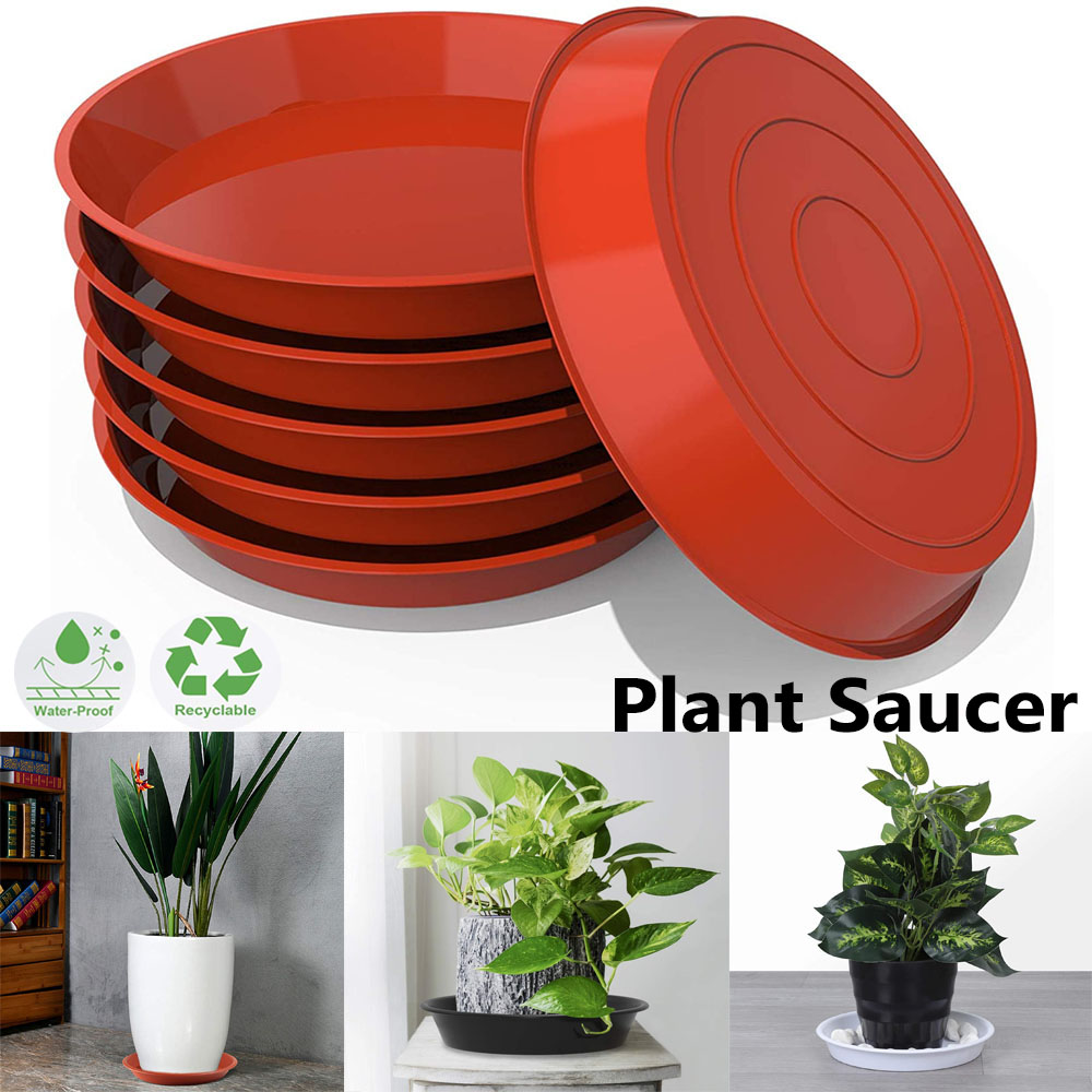 3Pcs Plant Saucer 4/6/7/8/10 i - Drip Tray Saucer recensione e prezzo