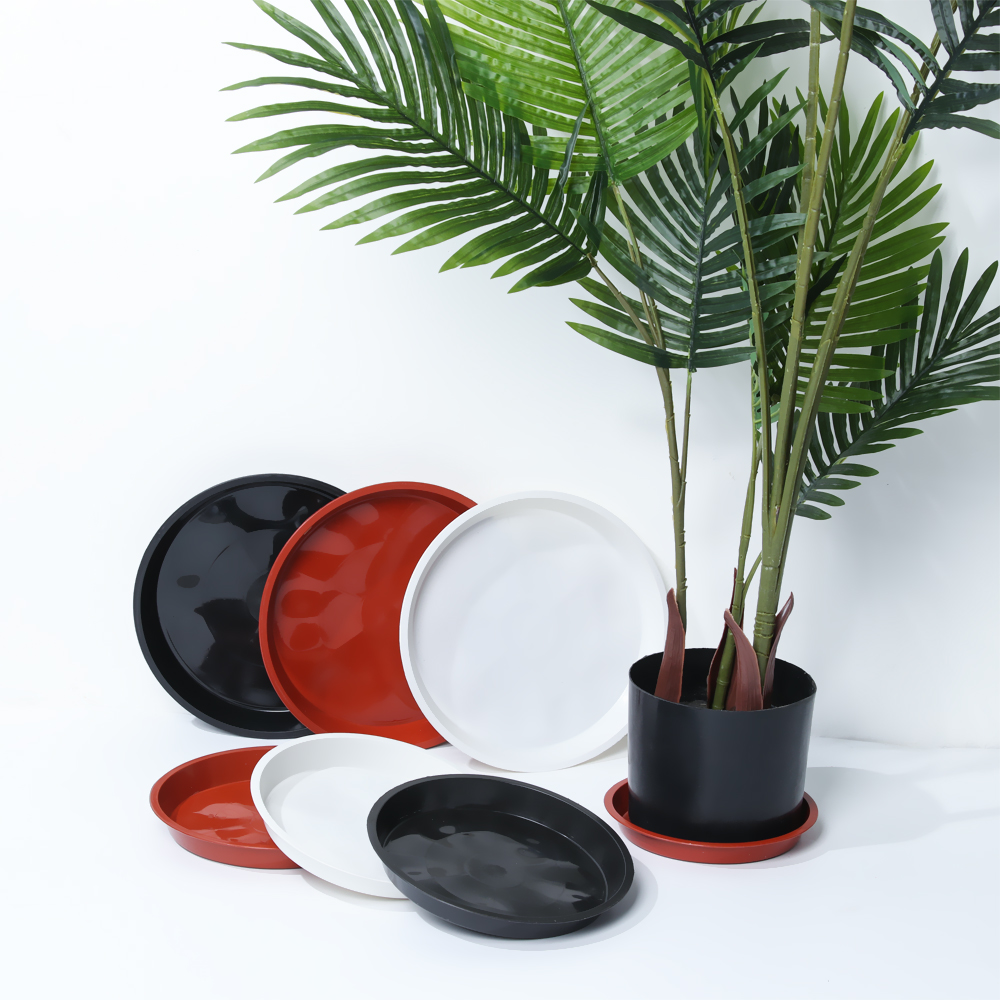 3Pcs Plant Saucer 4/6/7/8/10 i - Drip Tray Saucer recensione e prezzo