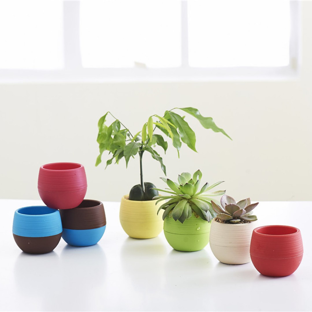 Gardening Mini Plastic Flower  - Bonsai Garden Nursery recensione e prezzo