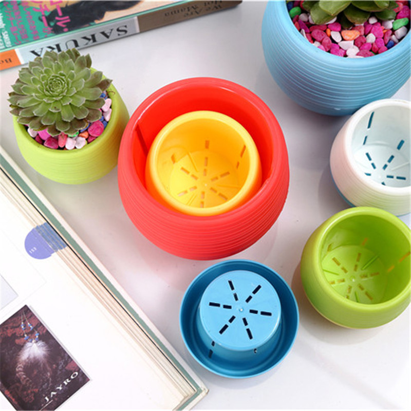 Gardening Mini Plastic Flower  - Bonsai Garden Nursery recensione e prezzo