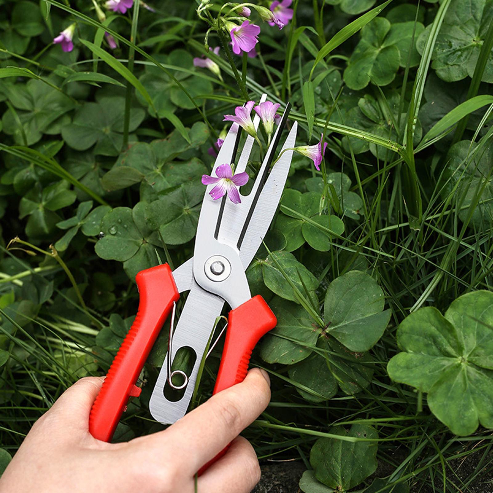 Garden Shears Stainless Steel  - Bonsai Gardener recensione e prezzo