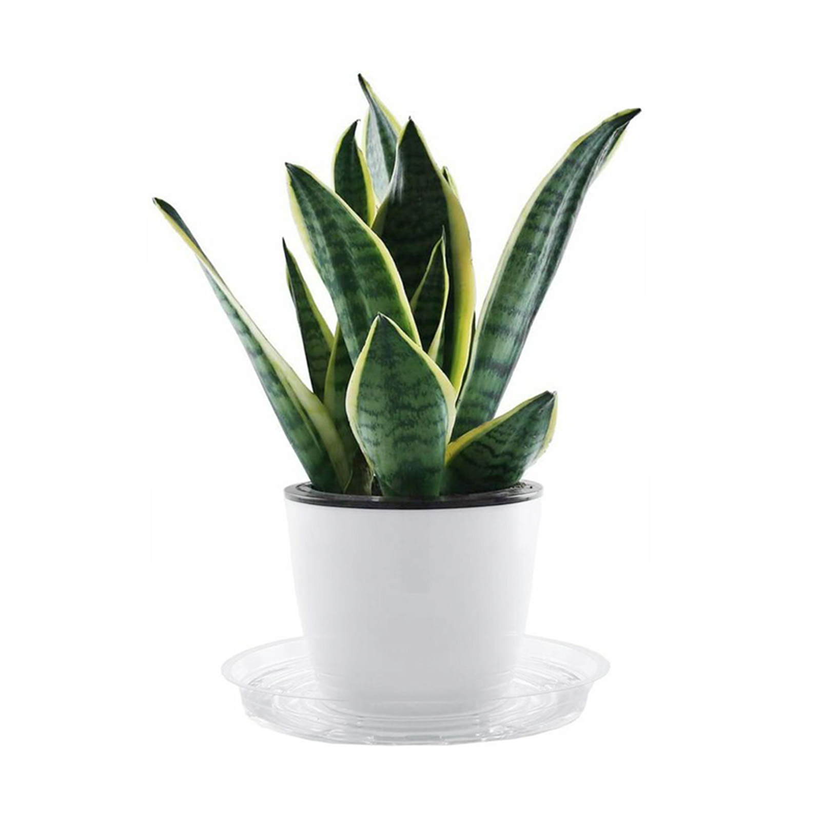10pc Garden Plant Saucer Drip  - Drip Tray Saucer recensione e prezzo