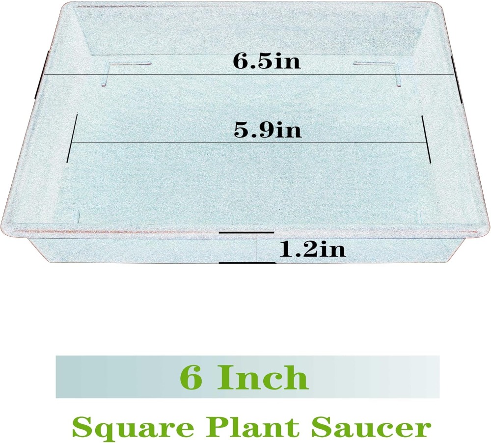 Square Plant Saucer 6 Inch 5 P - Drip Tray Saucer recensione e prezzo