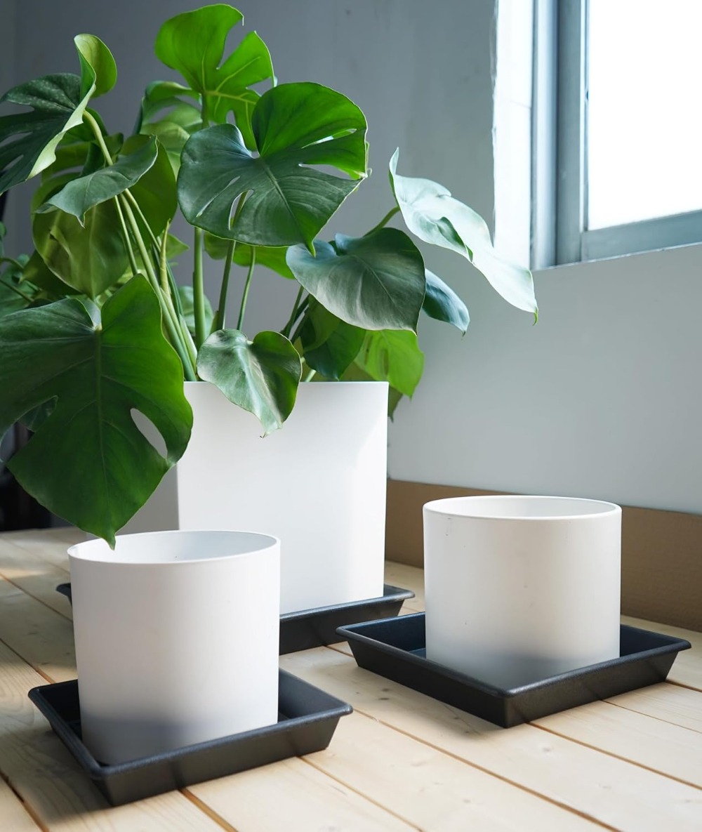Square Plant Saucer 6 Inch 5 P - Drip Tray Saucer recensione e prezzo