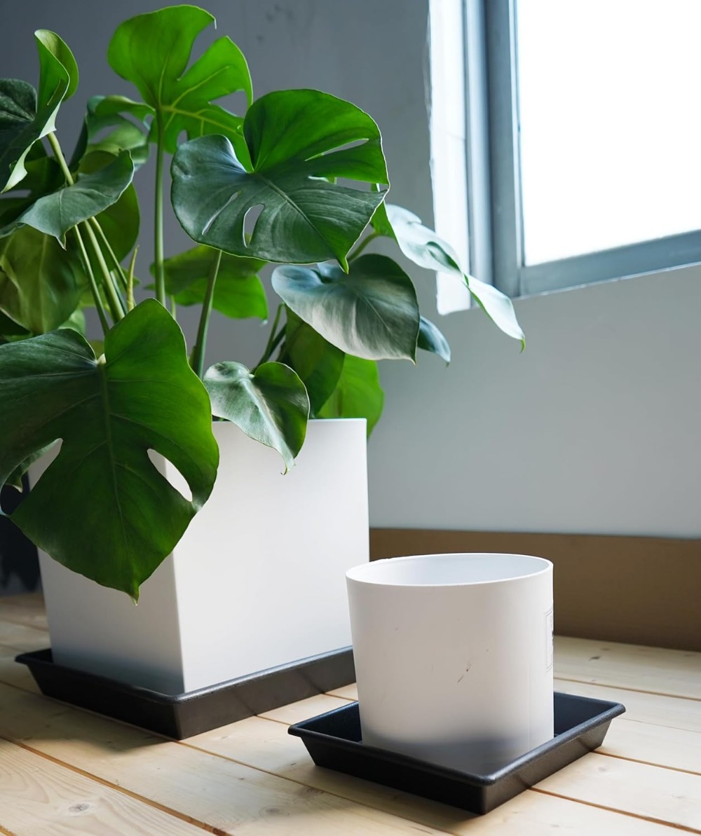 Square Plant Saucer 6 Inch 5 P - Drip Tray Saucer recensione e prezzo