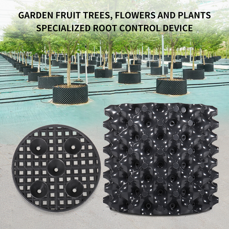 Pruning Nursery  Trainer Fast  - Bonsai Garden Nursery recensione e prezzo
