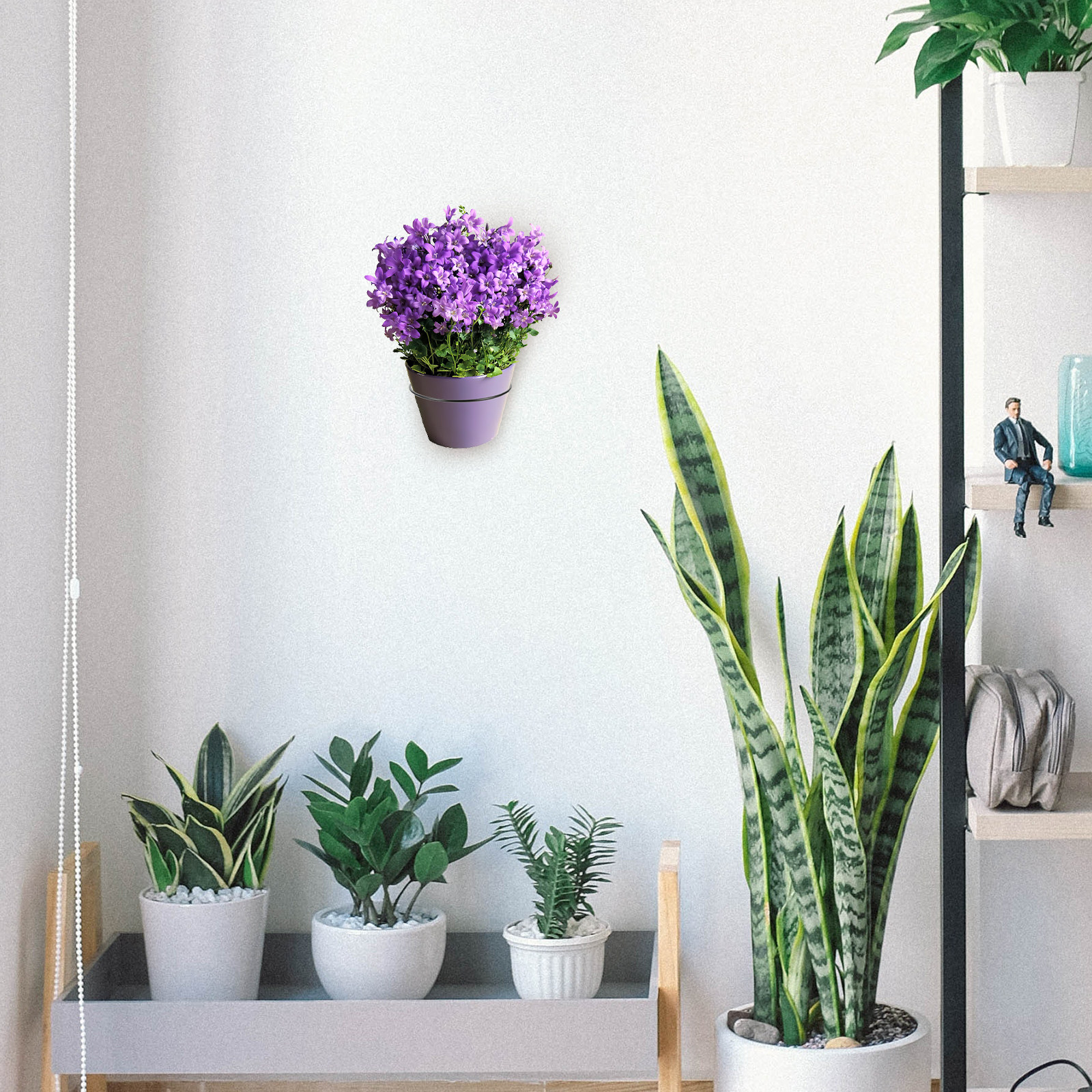 Iron Wall-Mounted Flowerpot Ra - Bonsai Gardener recensione e prezzo