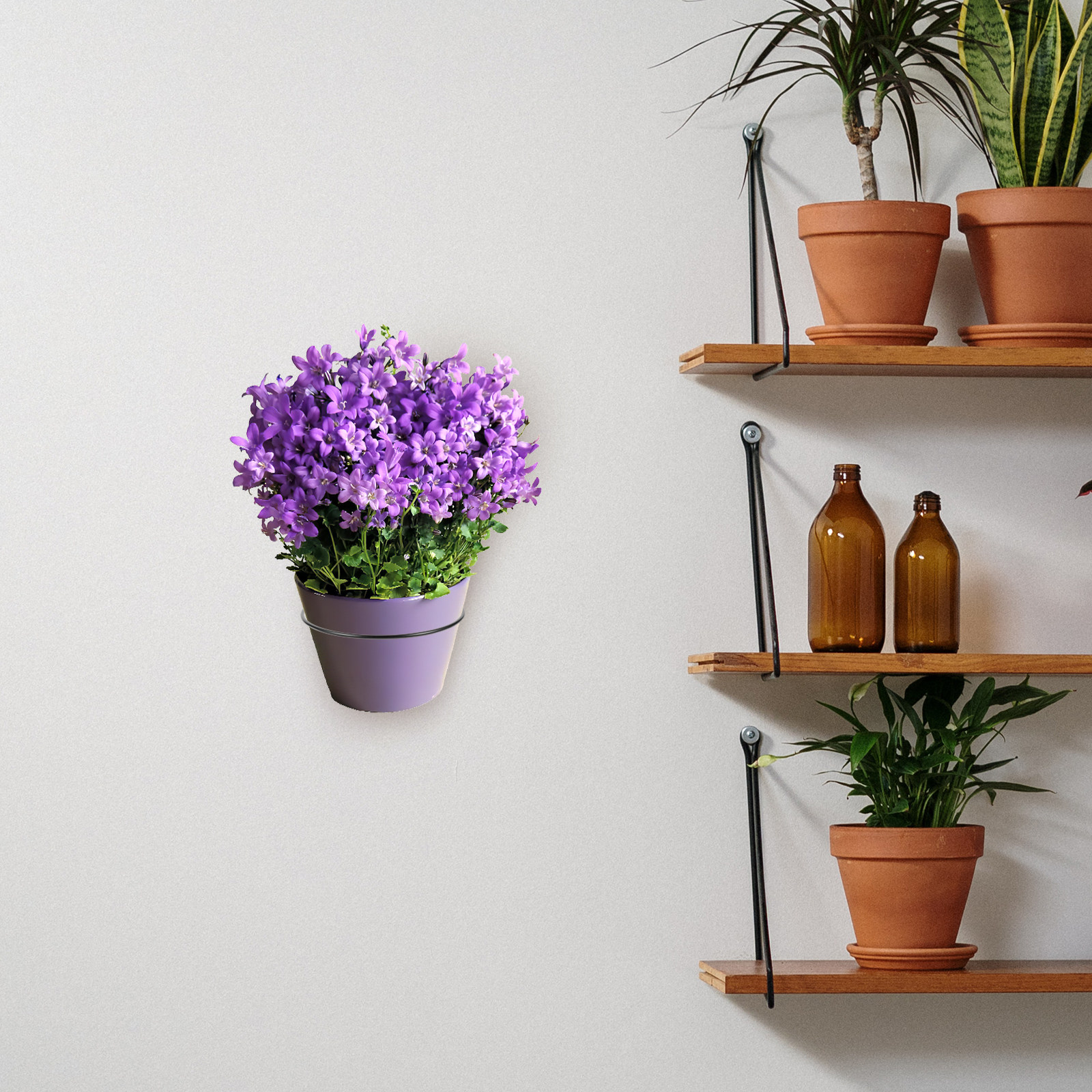 Iron Wall-Mounted Flowerpot Ra - Bonsai Gardener recensione e prezzo