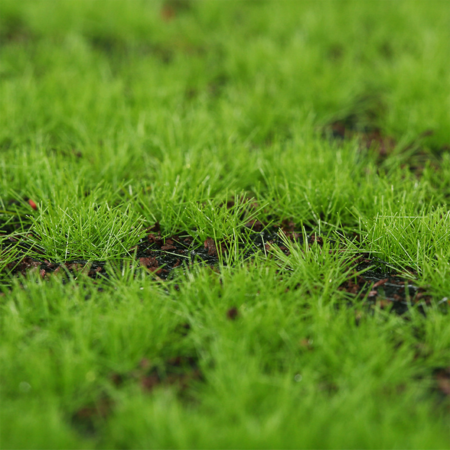 Artificial Moss Turf Simulatio - Landscape Bonsai Garden recensione e prezzo